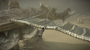 Get Shadow of the Colossus  (2018) PlayStation 4